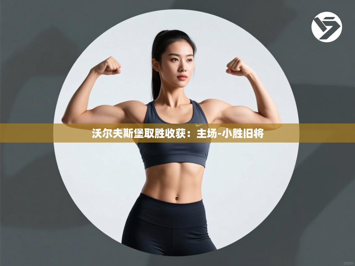 沃尔夫斯堡取胜收获:主场-小胜旧将 第1张